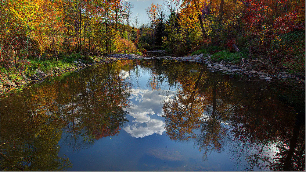 20121021_Warden Woods_Toronto_Canada Yu Yong Qin Photo
